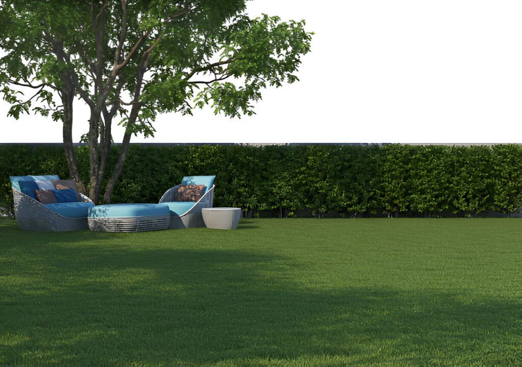 Maximizing Your Yard's Potential with 3D Outdoor Space Rendering